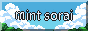 Mint Sorai